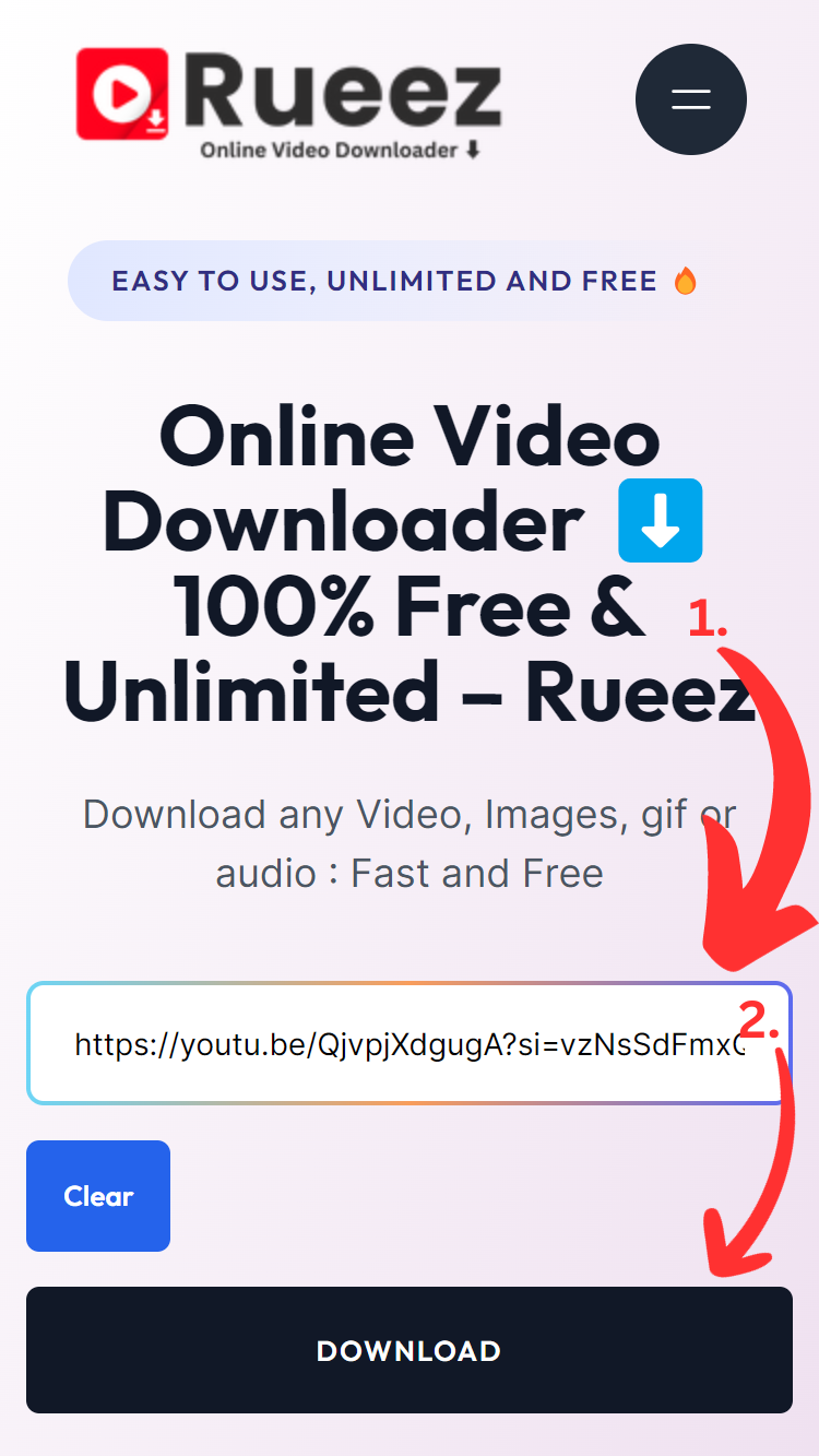 How To Download From Rueez Online Video Downloader